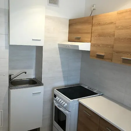 Apartment Przylesie *